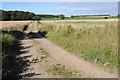 Farmland track in PE31 6GX