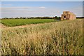 Straw bales stacked in a field in PE31 6SJ