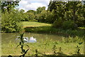 Lake, Penshurst Park in TN11 8BH