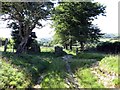 Llwybr ceffyl Groes / Groes bridleway in SA19 7SG