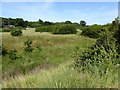 Marshland behind the sea wall, West Itchenor in PO18 8ET