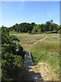 Path across the marshland, behind the sea wall, West Itchenor in PO18 8ET