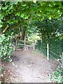 Crossing footpaths seen from the east in RH20 2DT