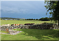 Farmland at Auchencairn in DG7 1QS