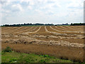 Harvested wheat field by Repps in NR29 5JS