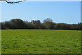 Field by Rookery Lane in Keynor Estate
