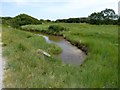 Stream through marshland by New Lipchis Way in PO20 8NB