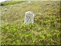 Boundary Stone?? in AB34 5PU
