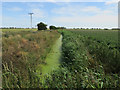 Ditch on Fidwell Fen in CB25 9LR