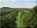 Ditch across North Fen in CB25 9LR