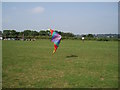 Kite flying in Balsall Common Community Park in CV7 7RD