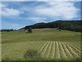 Hay making below Lettoch in PH16 5LN