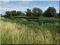 River Cam north of Upware in CB7 5ZR