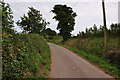 East Devon : Mosshayne Lane in EX1 3XF