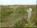 The path to Zennor Quoit in TR20 8LL