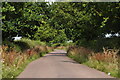 East Devon : Parsons Lane in EX5 2DY
