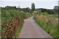 East Devon : Parsons Lane in Cranbrook