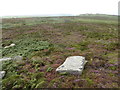 Looking towards Zennor Hill from Sperris Quoit in TR26 3AY