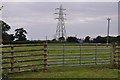 East Devon : Grassy Field & Gate in EX5 7EE