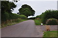 East Devon : Country Lane in EX5 3BJ