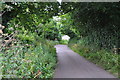 East Devon : Country Lane in EX5 3HZ