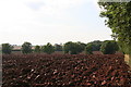 Ploughed fields by B1196 north of Gunby in PE23 5TJ