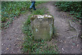 Boundary Stone at Bouldnor Forest in PO41 0XT