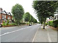 Stockton Heath, Grappenhall Road in Stockton Heath