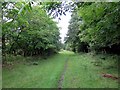 Trackbed of disused railway by River Gaunless in DL13 5AR