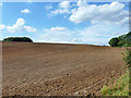 Ploughed and harrowed field south of Haultwick in SG11 1JG