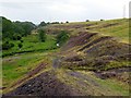 Colliery spoil heaps along the River Gaunless in DL13 5AR