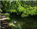 Towpath along the Grand Union Canal in UB7 8HT