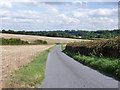 Lane from Chapmore End to B158 in SG12 0EY