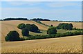 Farmland, Baydon, Wiltshire in SN8 2LQ