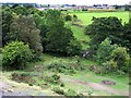 Footbridge on Crow Harle Beck from pit heap in DL13 5JP