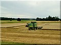 Harvesting the Fields near East Winch in PE32 1NS