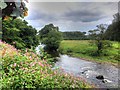 River Calder, Looking Upstream from Read Garden Centre in BB12 7RT
