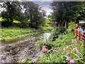 River Calder, Looking Downstream from Read Garden Centre in BB12 7RT