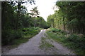 Tandridge : Woodland Track in TN16 2ES