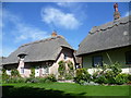 Thatched cottages on Church Street, Wendens Ambo in CB11 4JZ