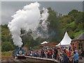 Thomas the Tank, Dean Forest Railway in GL15 5JW