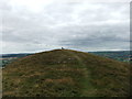 The rounded top of Roundton Hill in SY15 6DY