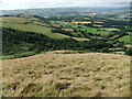 Western slope of Lan Fawr above Cwmdulla Farm in SY15 6DQ