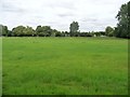 Former nursery land, Bressingham Estate in IP22 5XR