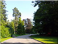 Driveway from Inchmarlo House in AB31 4FA