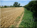 Footpath to Great Chesterford in CB10 1PR