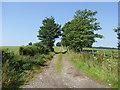 Farm road near North Cowshaw in DG11 1SF