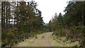Forest road, Garrol Hill in AB31 6LA