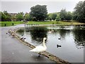 The Southern End of the Lake in Sefton Park in L17 7BD
