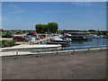 Fish and Duck Marina in CB6 3HR